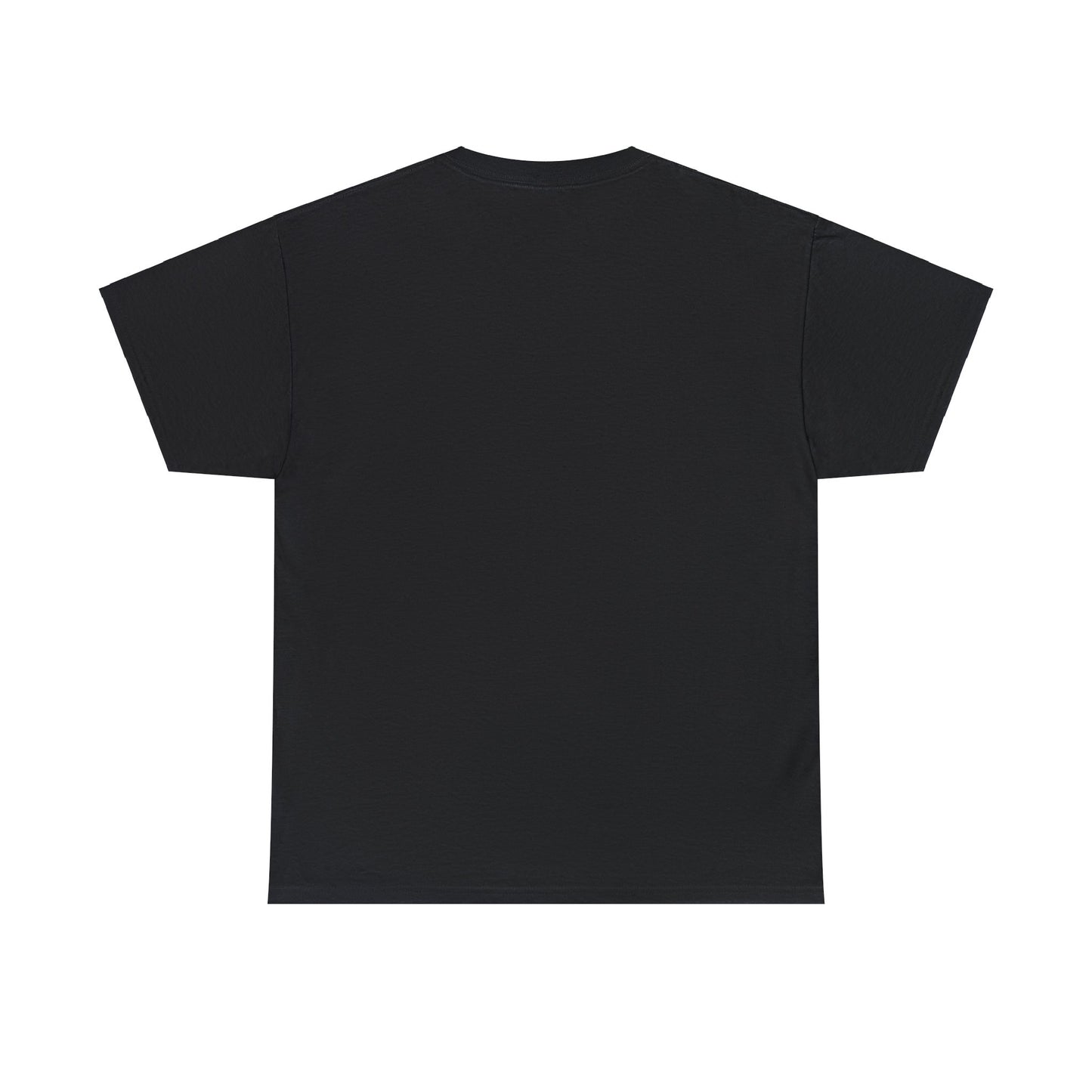 PNW Marymere Falls T-Shirt - Unisex Heavy Cotton Tee