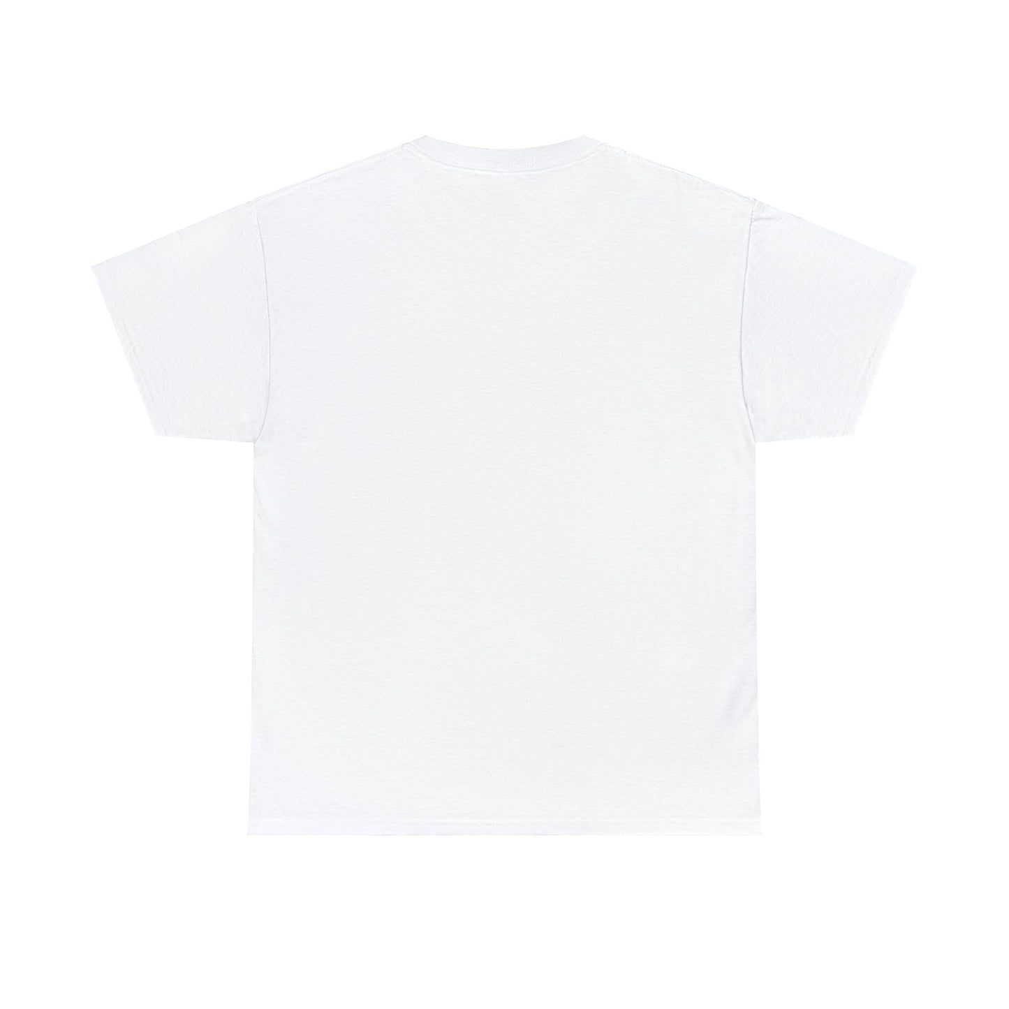 PNW Marymere Falls T-Shirt - Unisex Heavy Cotton Tee