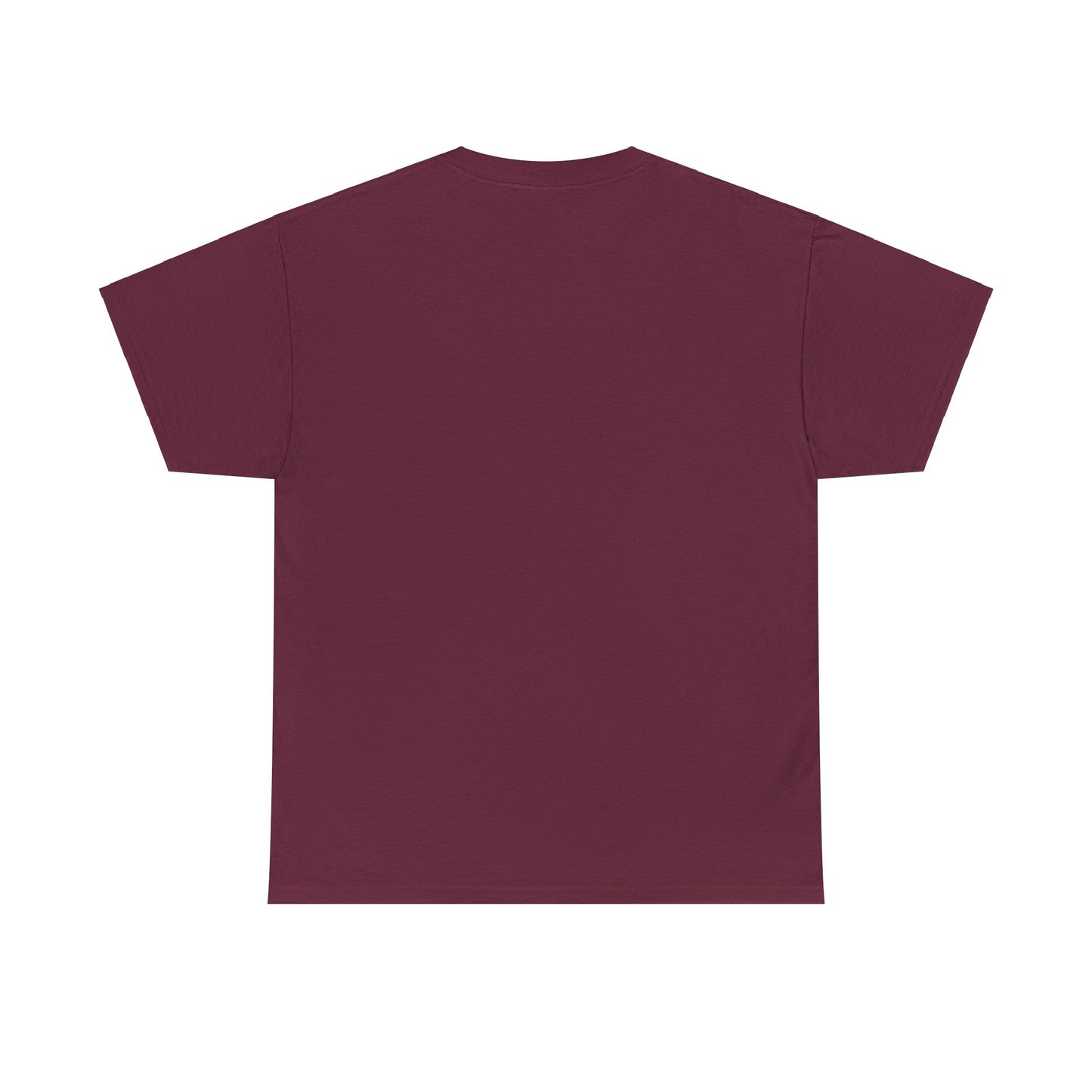 PNW Marymere Falls T-Shirt - Unisex Heavy Cotton Tee