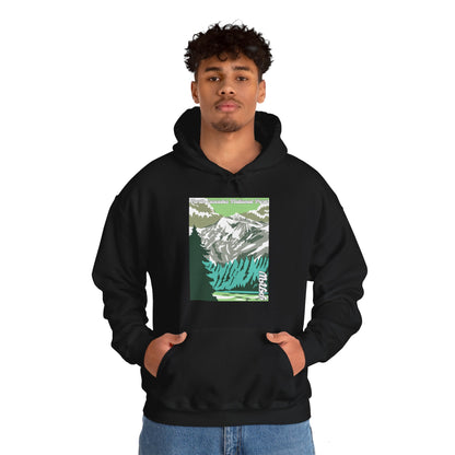 PNW North Cascades National Park Hoodie - Unisex Heavy Blend™ Hooded Sweatshirt