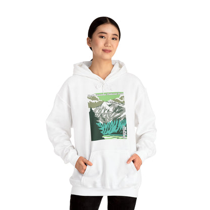 PNW North Cascades National Park Hoodie - Unisex Heavy Blend™ Hooded Sweatshirt