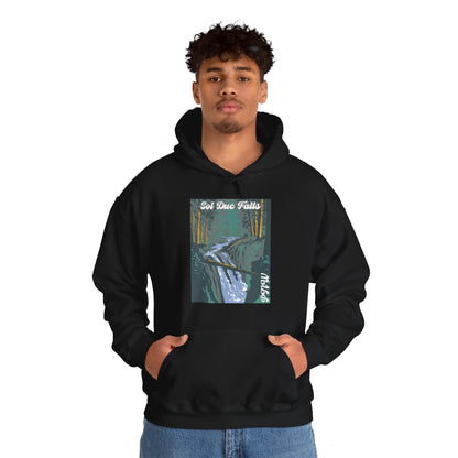 PNW Sol Duc Falls Hoodie - Unisex Heavy Blend™ Hooded Sweatshirt