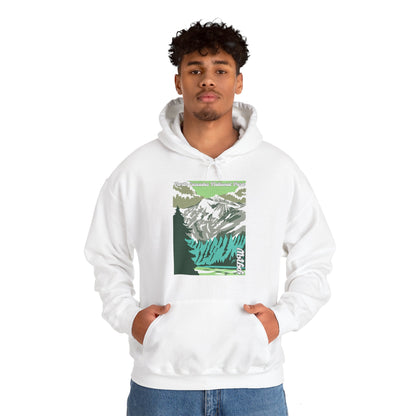 PNW North Cascades National Park Hoodie - Unisex Heavy Blend™ Hooded Sweatshirt